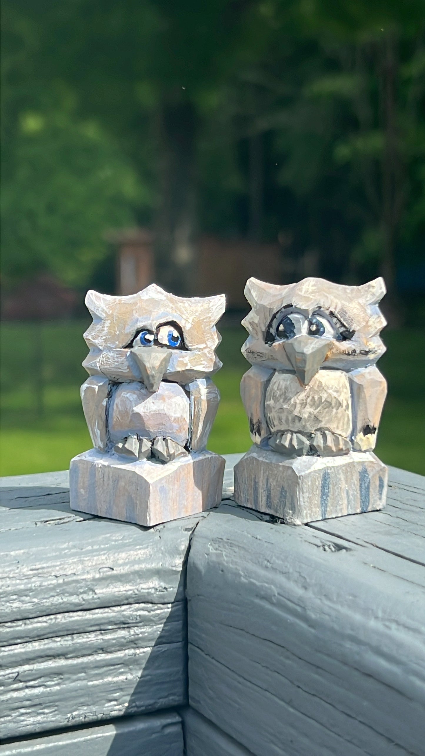 Owls
